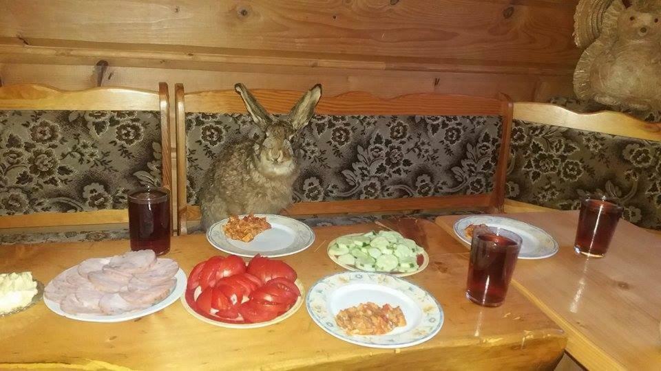 Goralska Czarcia Chata Pod Jalowcem Stryszawa Eksteriør billede